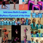 Gymnast of the Year Poster